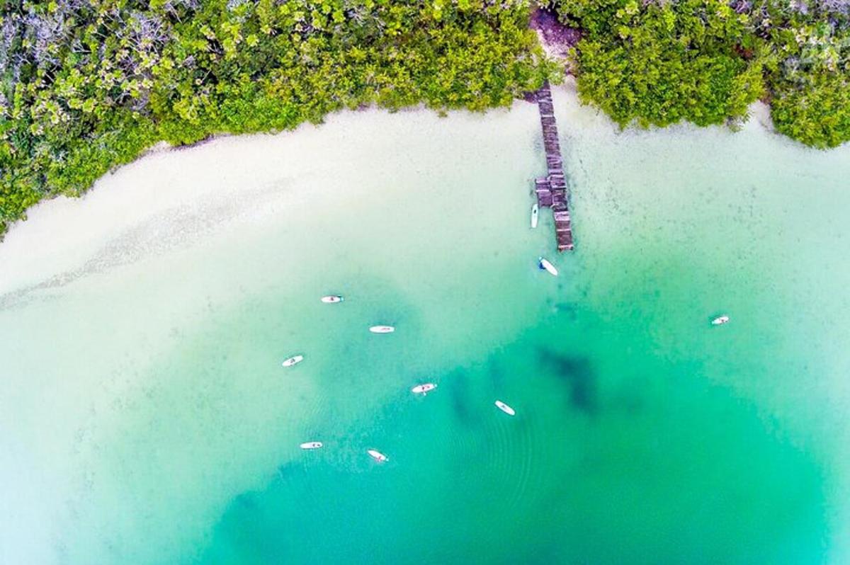 an aerial view of a beach with boats in the water