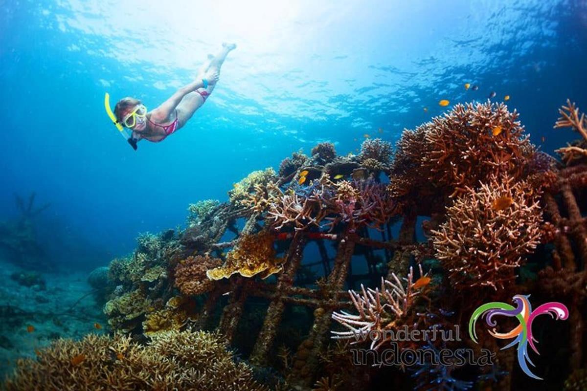 a person swimming over a coral reef