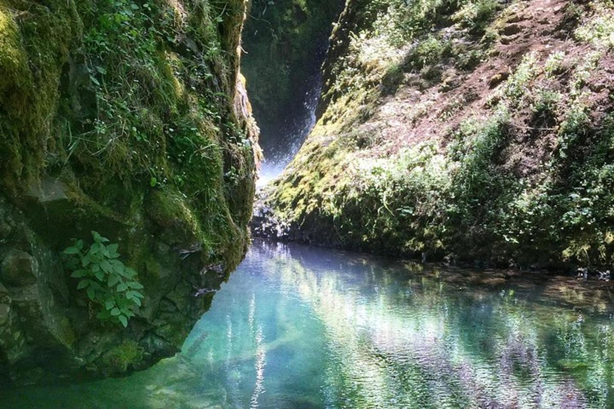 Fotografia da atração 5