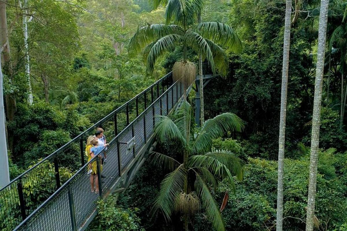 a man and woman standing on a bridge in the forest
