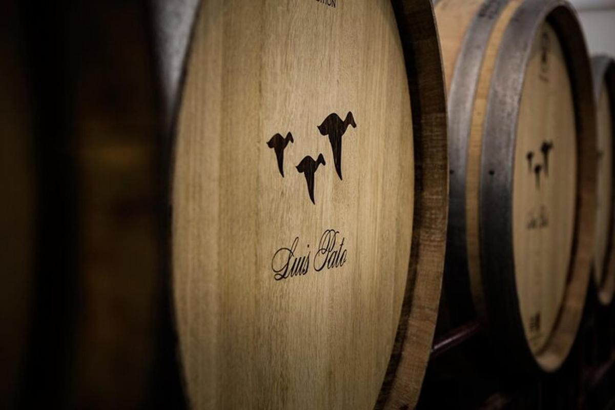 una botte di legno con la scritta "sidro del sole" sopra