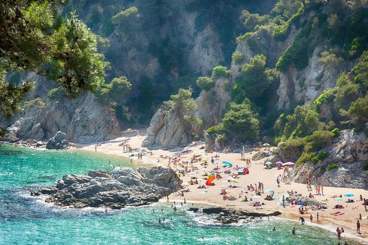 un grupo de personas en una playa cerca del agua