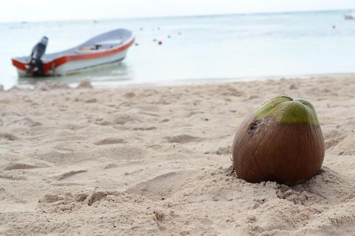 um coco na areia de uma praia com um barco