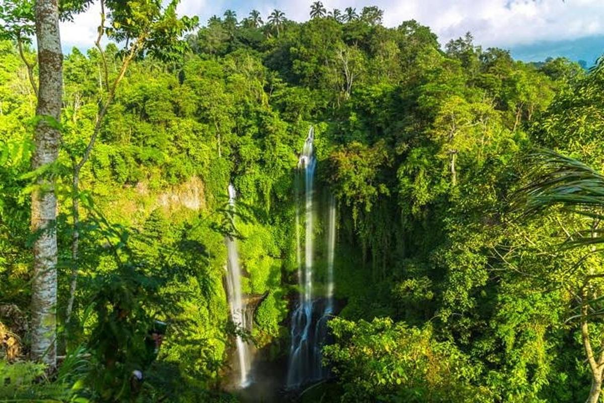 uma cachoeira no meio de uma floresta