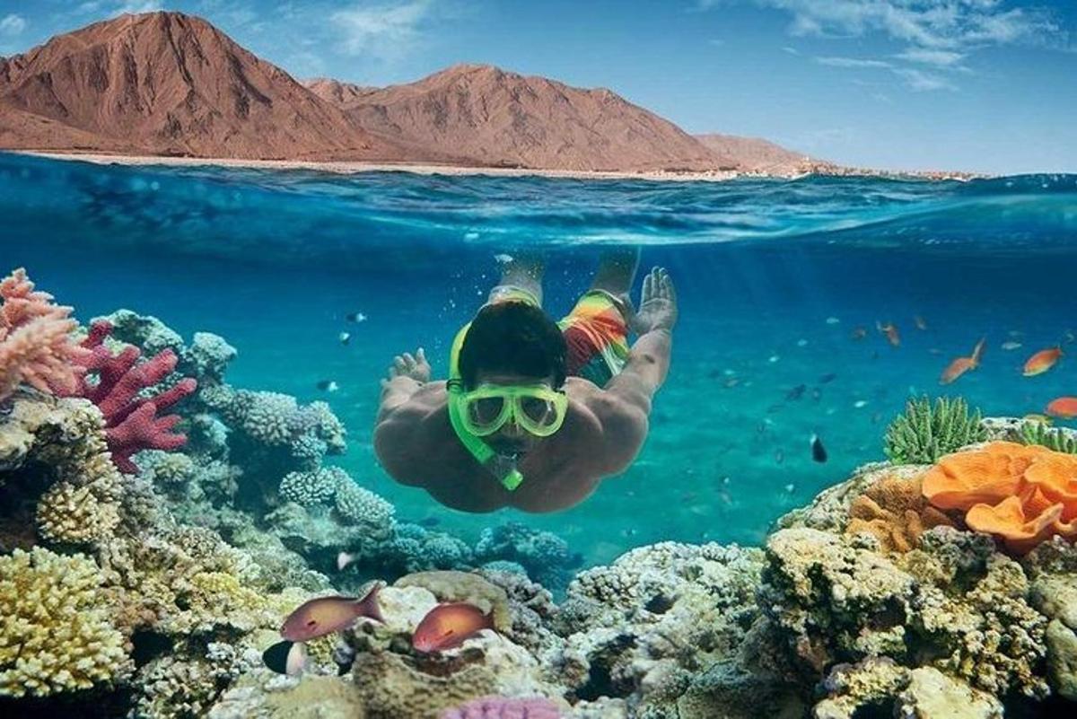 eine Person, die über einem Korallenriff schwimmt