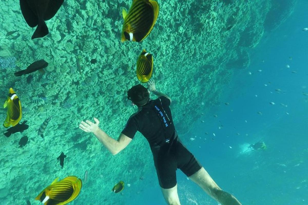 ein Mann, der mit Fischen im Wasser steht