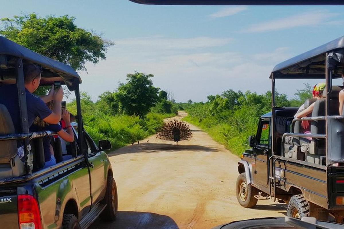 Fotografia da atração 1