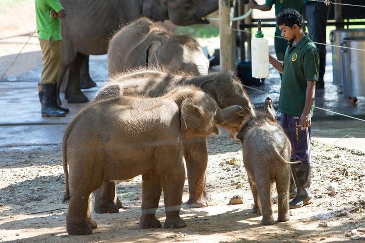 3枚目の観光スポット・アクティビティの写真