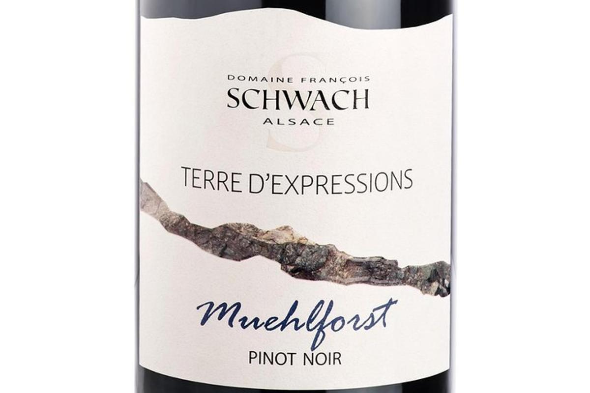 a bottle of merlotwine with a sample of the label