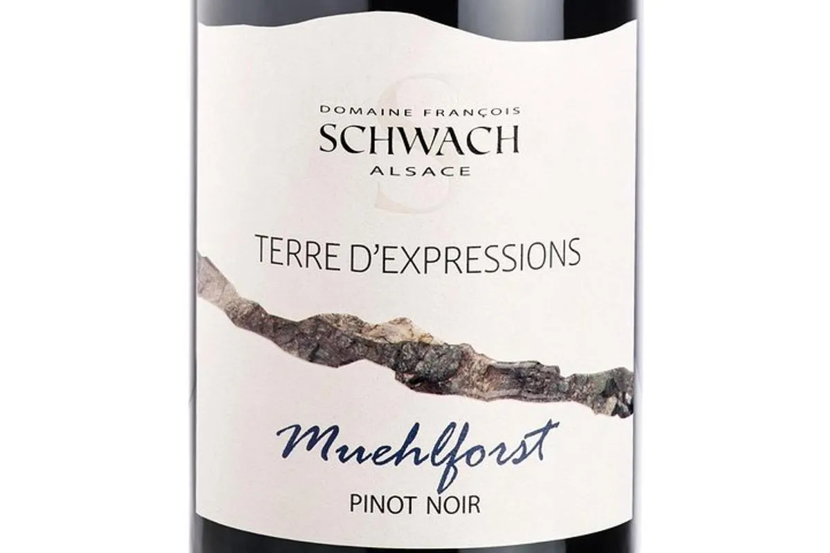 À la rencontre des grands vins de Terroir – photo 1