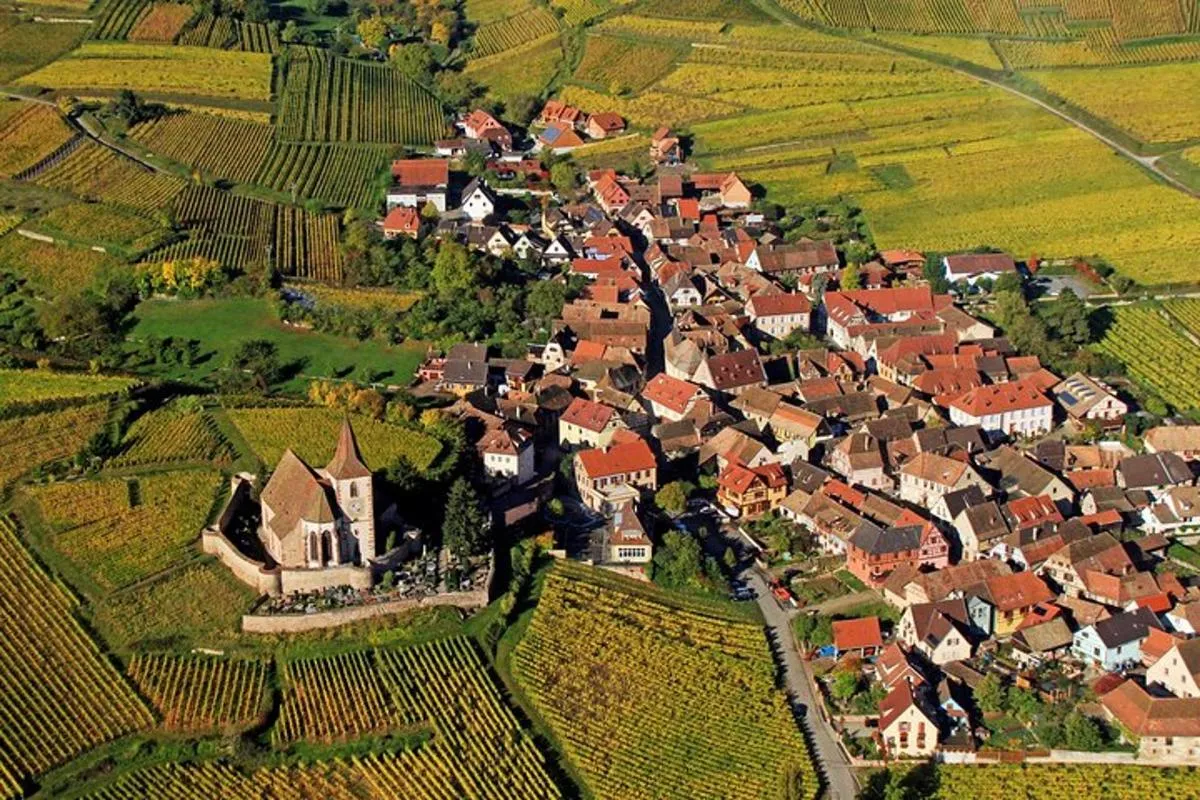 Colmar : visite de domaine familial et dégustation de vins de terroir – photo 3