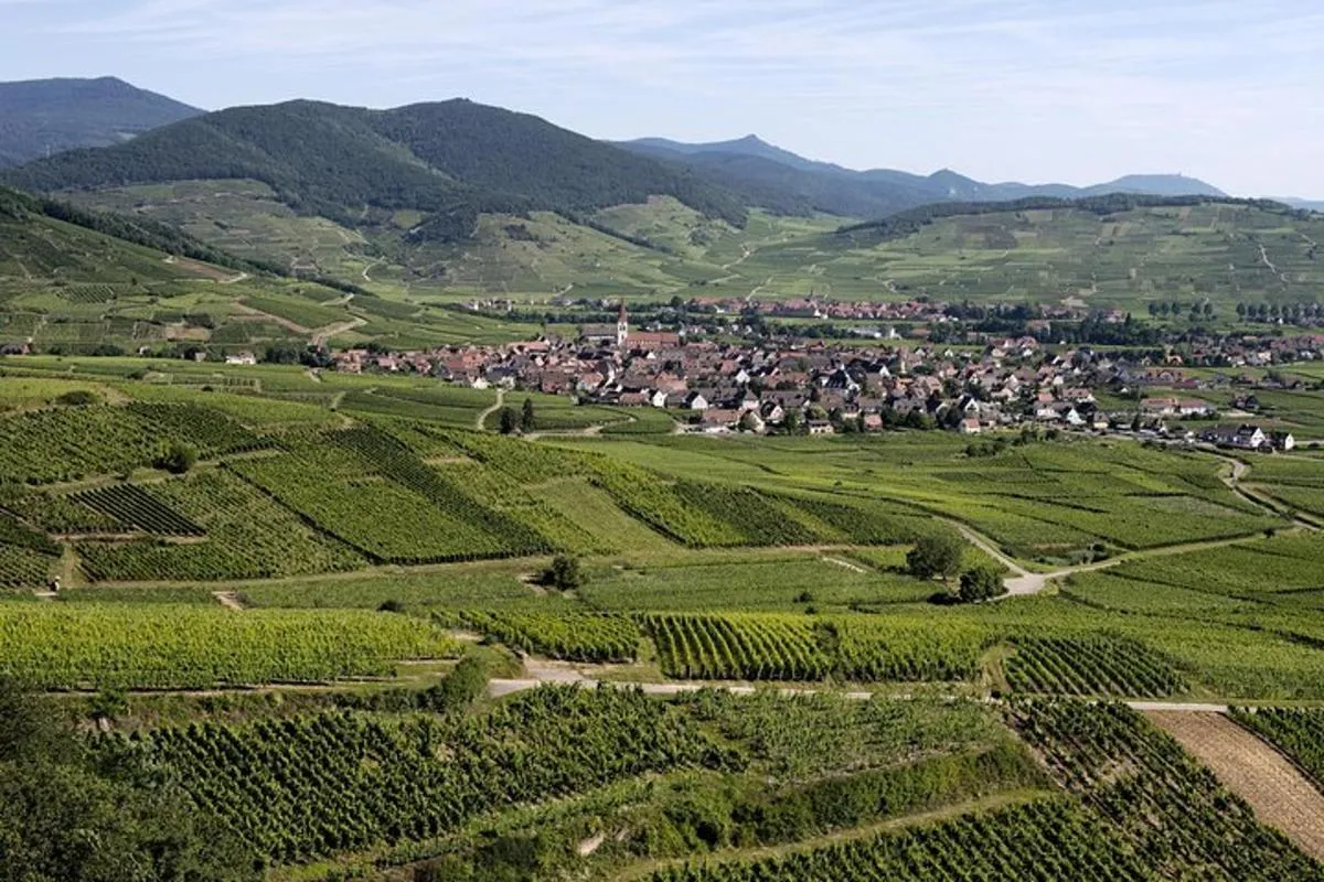 À la rencontre des grands vins de Terroir – photo 4