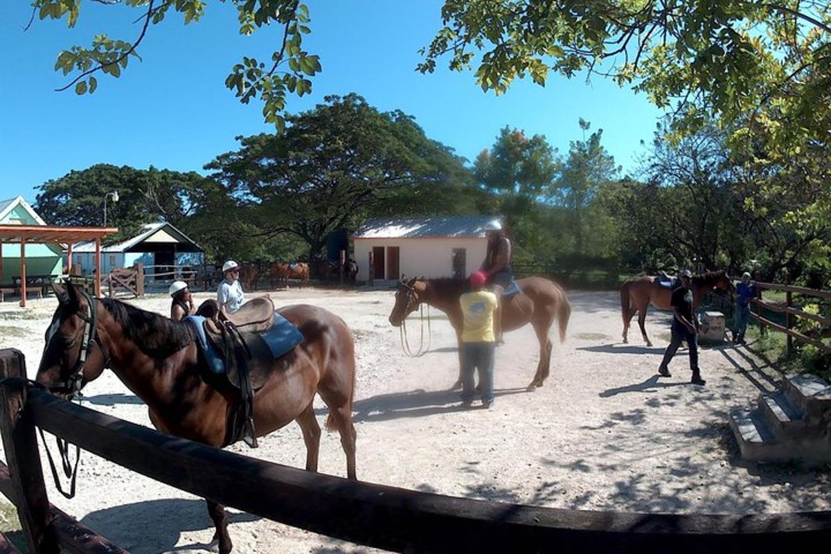 um grupo de pessoas em pé ao lado de dois cavalos