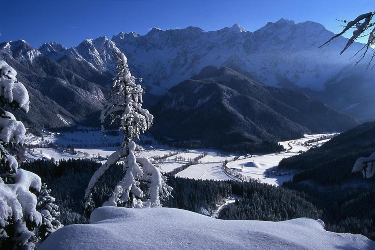 a view of a snow covered mountain range with a tree