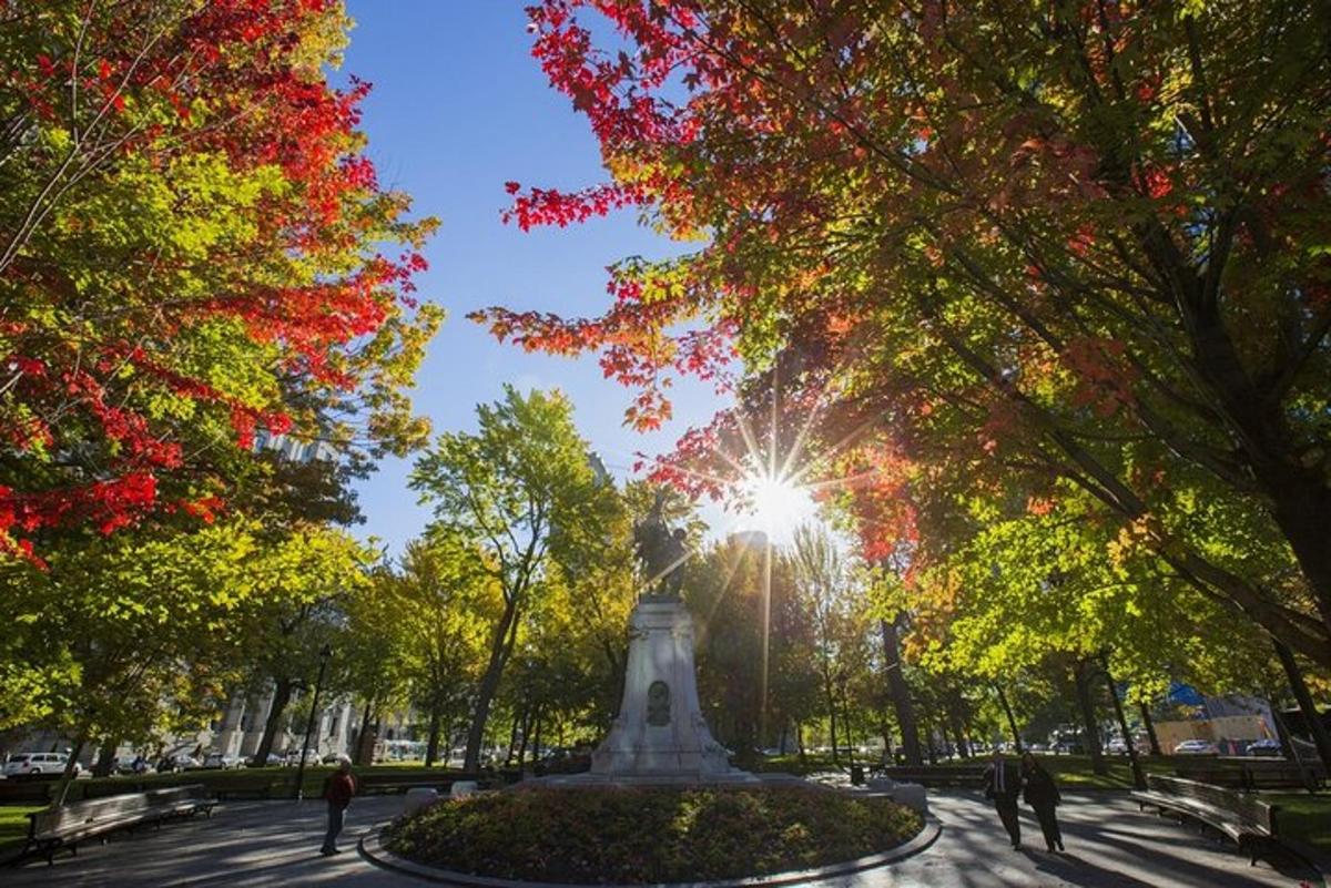 una estàtua en un parc amb el sol brillant a través dels arbres