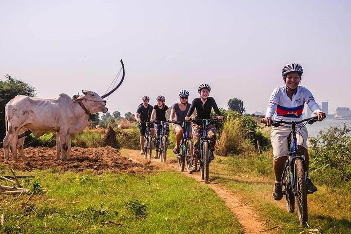 a group of people riding bikes on a dirt road with a cow