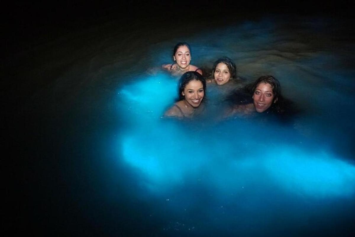 sekelompok orang yang sedang berenang di air