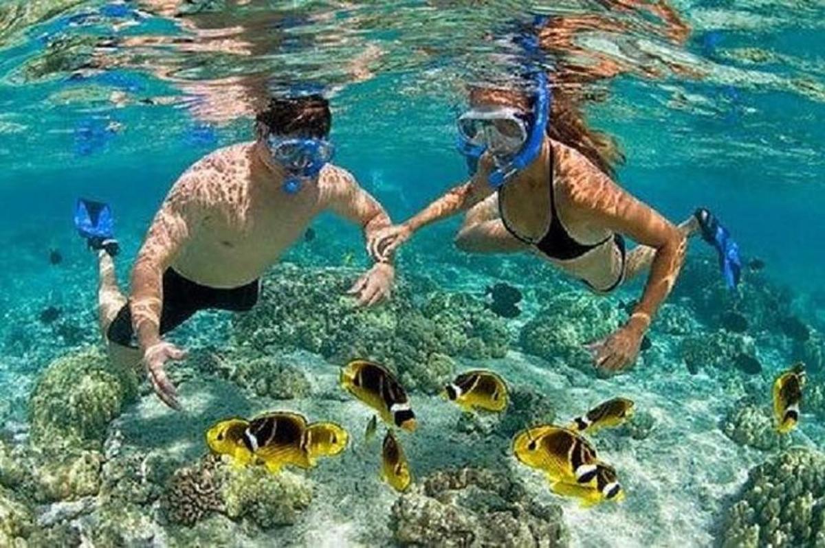 Un hombre y una mujer en el agua con peces.