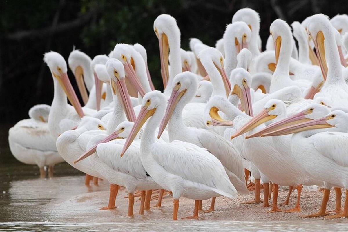 Fotografia da atração 3