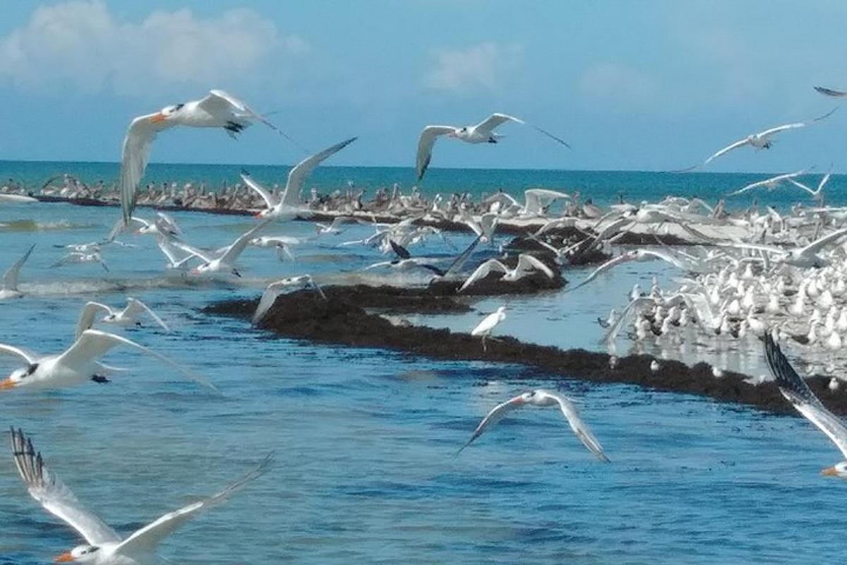 Fotografia da atração 5