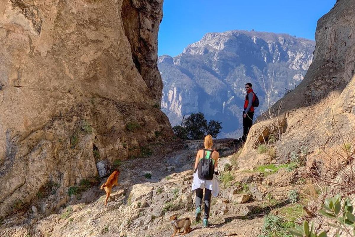 seorang lelaki dan seorang wanita berjalan di atas gunung dengan dua ekor anjing