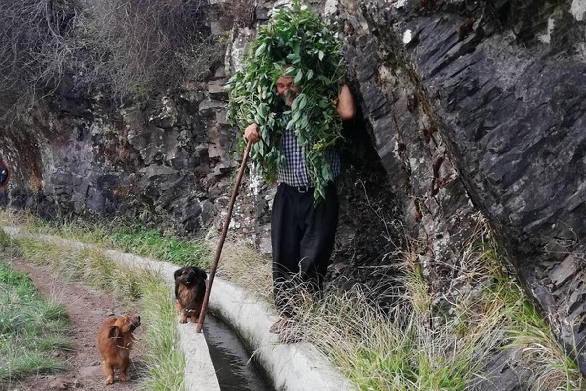 a man walking a dog with a bunch of leaves