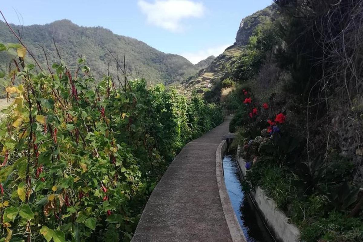 a path through a garden with roses on a mountain