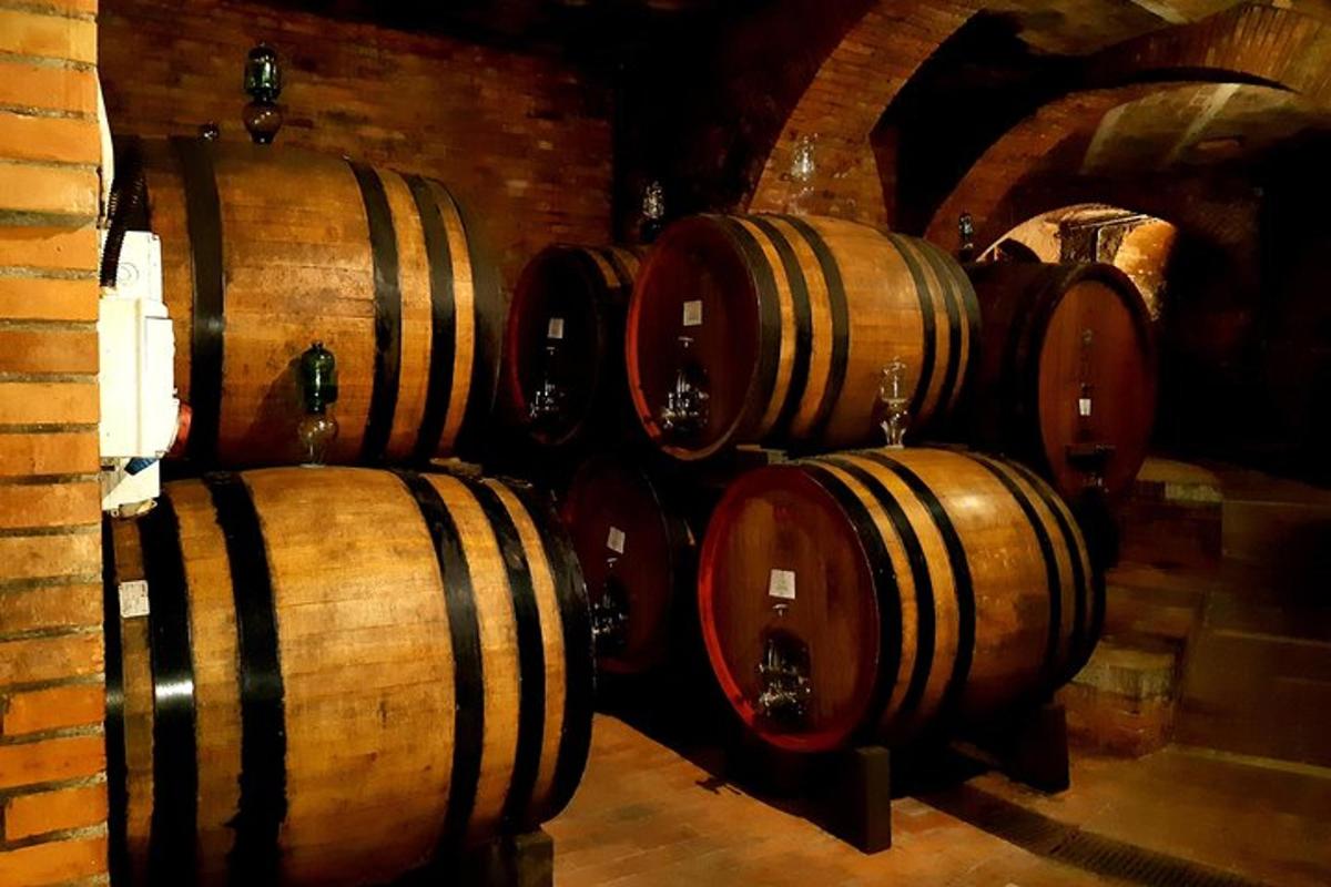 un grup de bótes de vi en un celler
