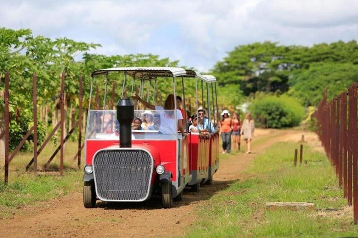 sekumpulan orang yang menaiki kereta api kecil