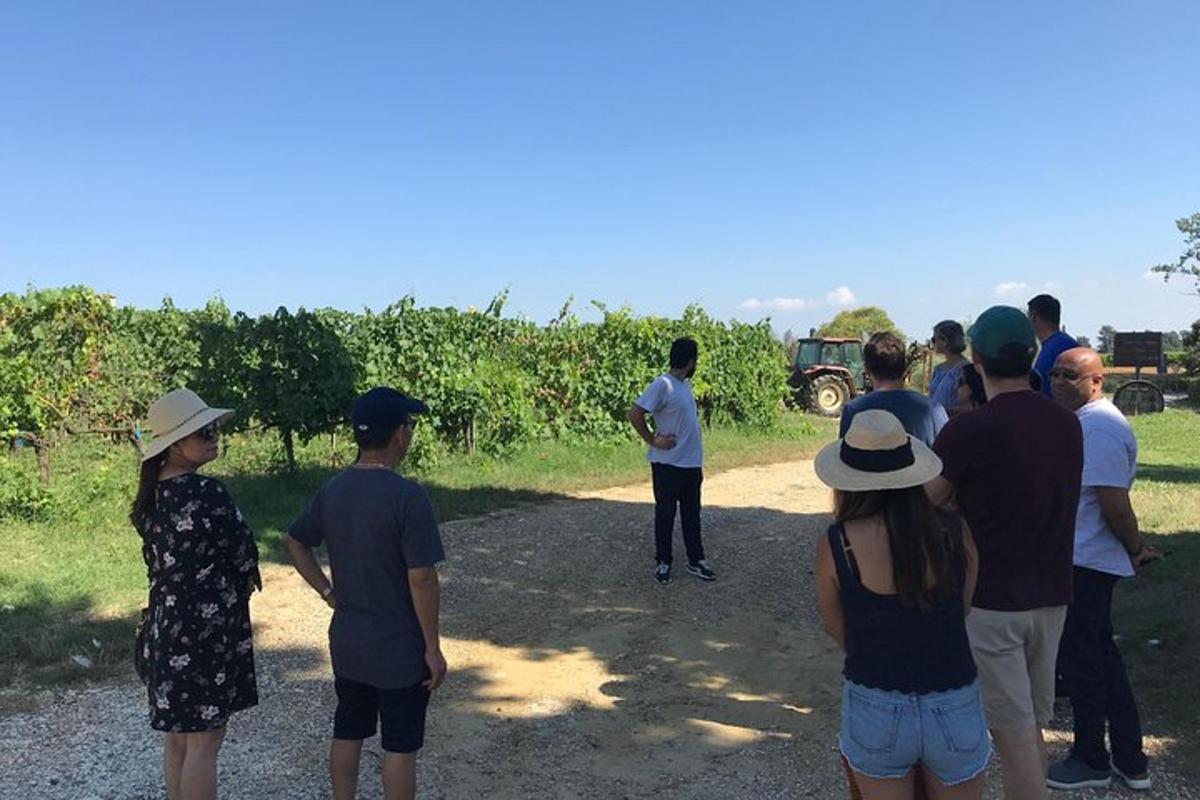 un grup de persones dempeus en un camí de terra