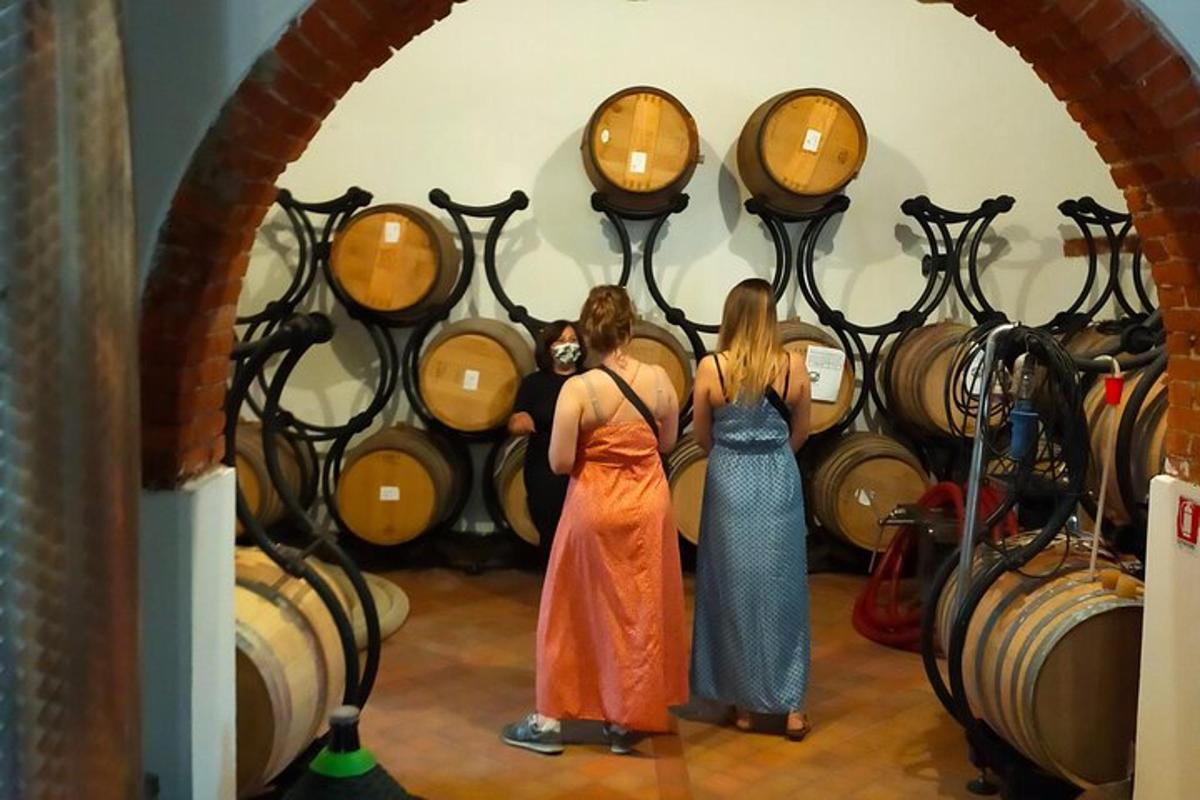dues dones dempeus davant d'un munt de bótes de vi