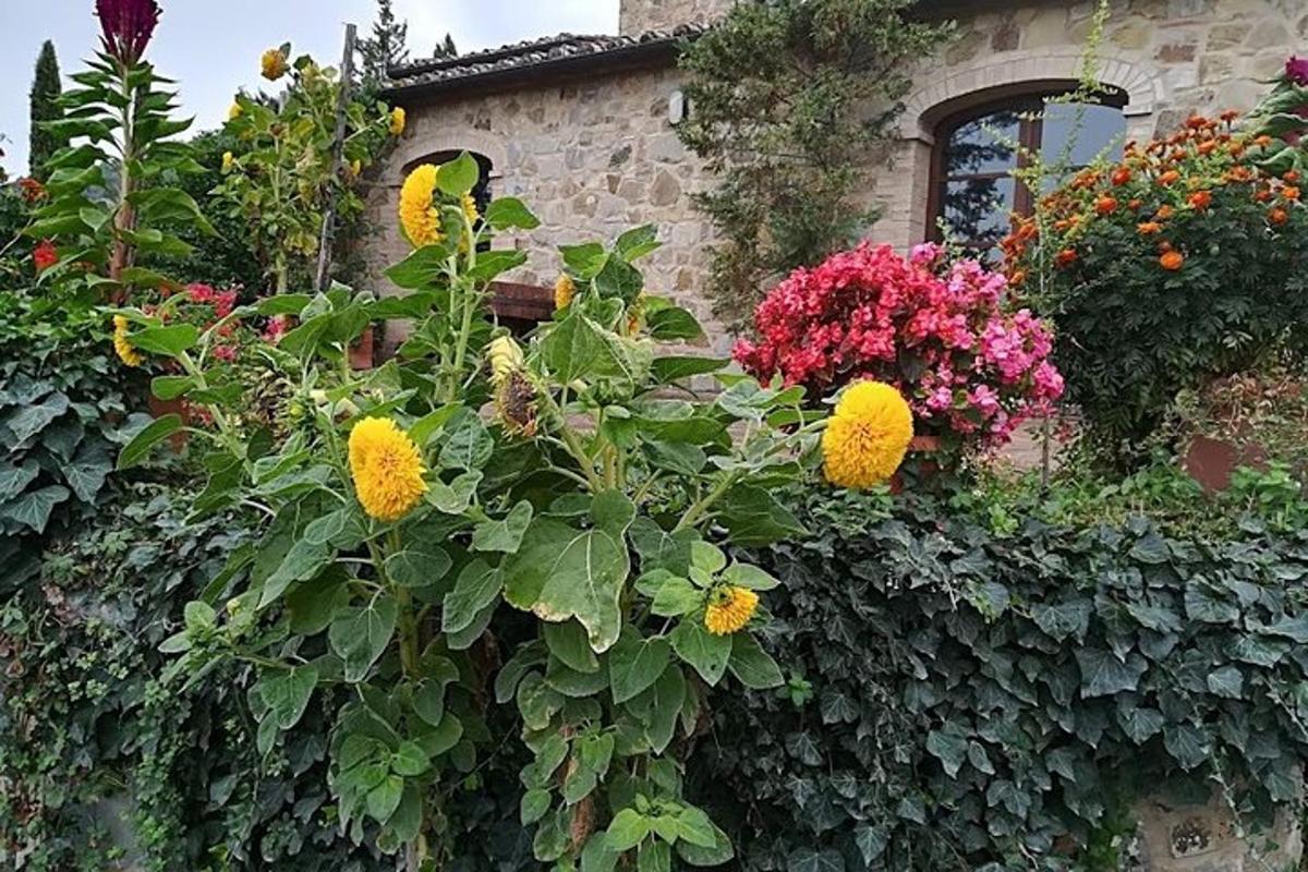 un jardin de fleurs sur le côté d'un bâtiment