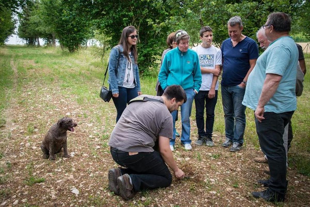 Fotografia da atração 4