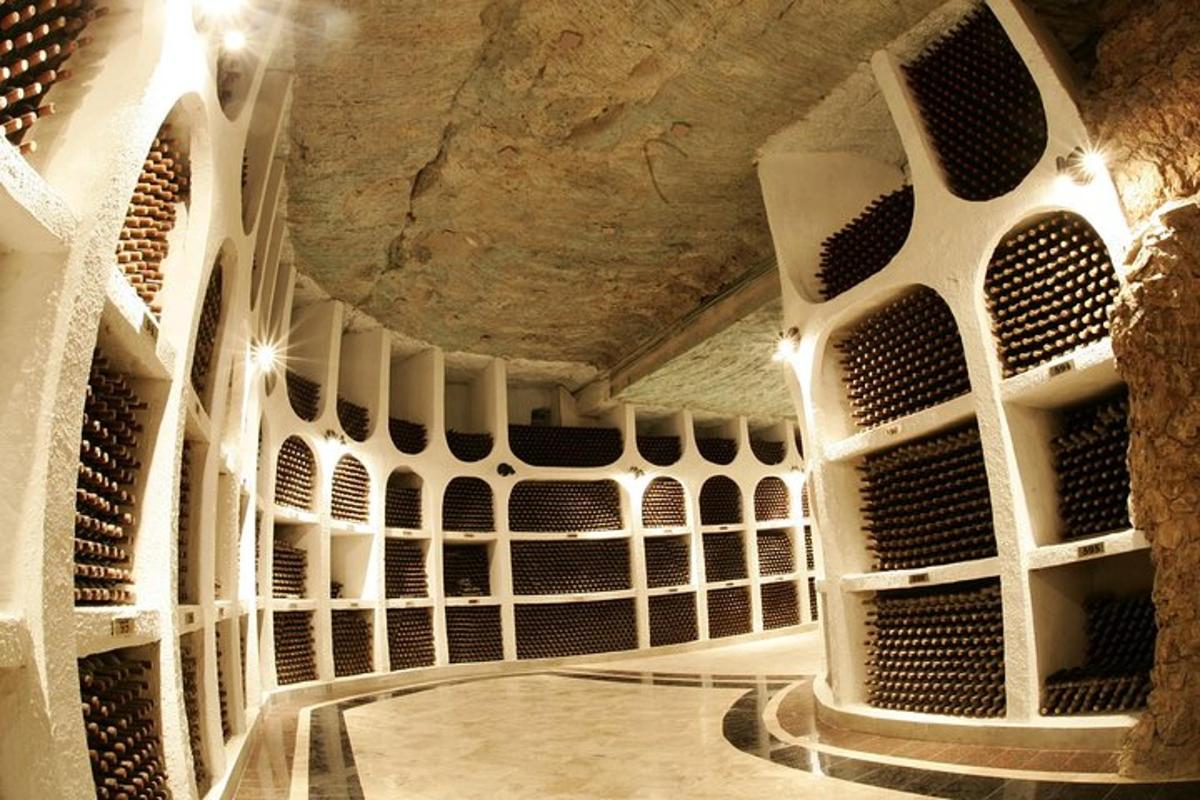 a wine cellar with a vaulted ceiling and a tunnel