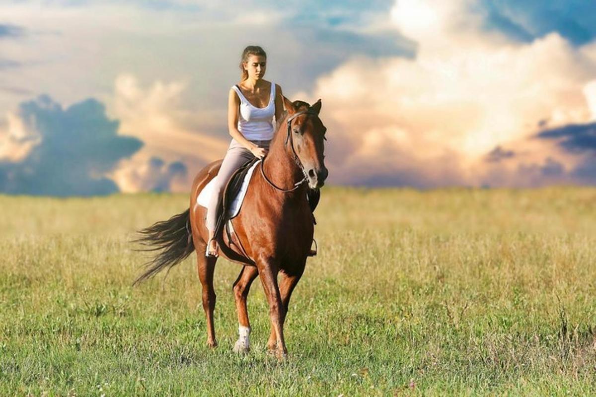 en kvinna som rider på en häst i ett fält