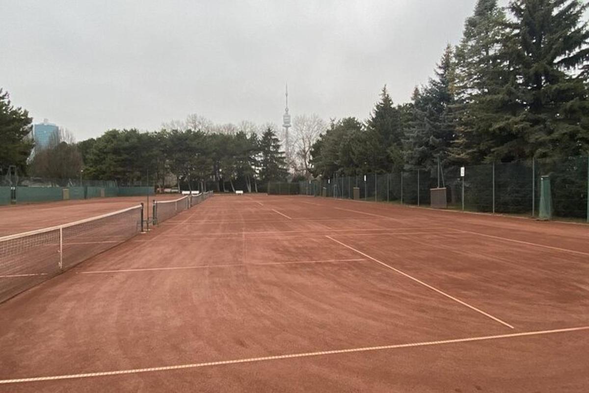 prazno teniško igrišče z drevesi in ograjo
