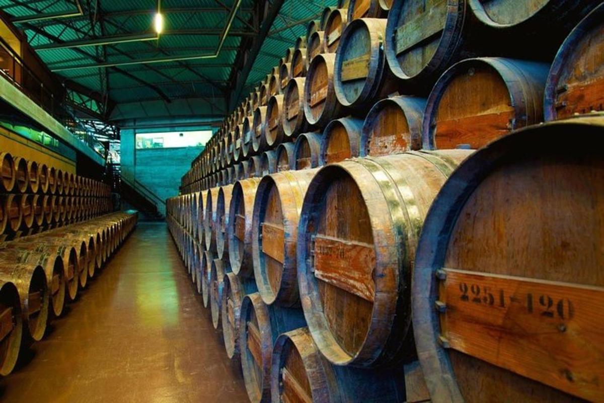 μια σειρά από βαρέλια κρασιού σε ένα κελάρι