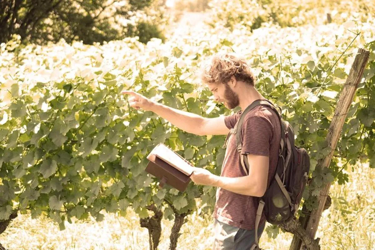 Private: Outdoor Escape Game Tuniberg: Eduardo & the Wine Secret – photo 1