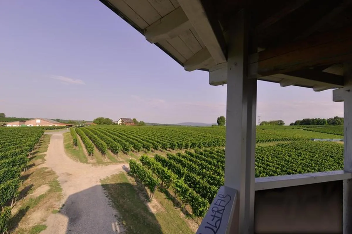 Privé: Escape Game en plein air Tuniberg : Eduardo et le secret du vin – photo 10