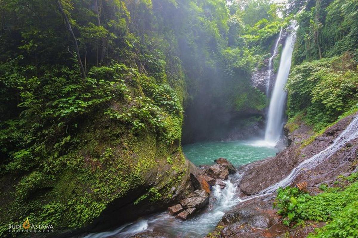 una cascata in una foresta con una pozza d'acqua