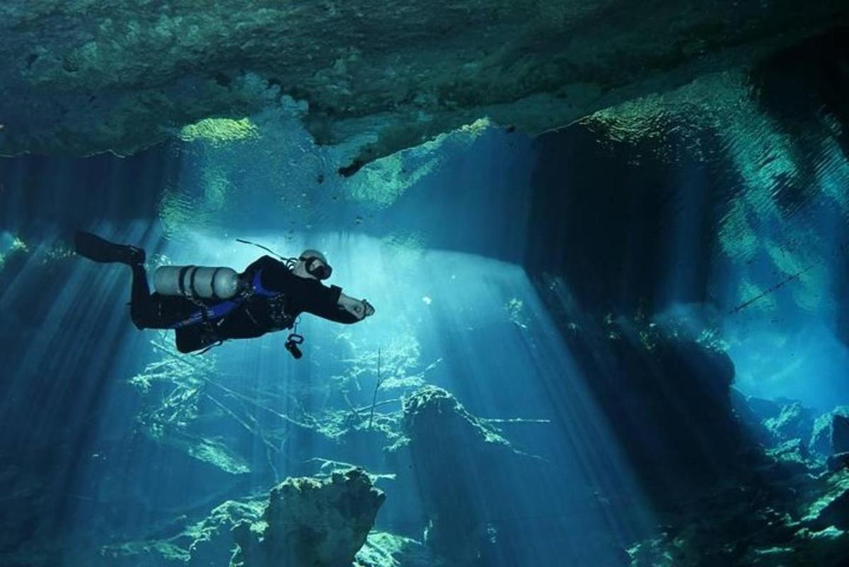 een persoon die in het water van een aquarium zwemt