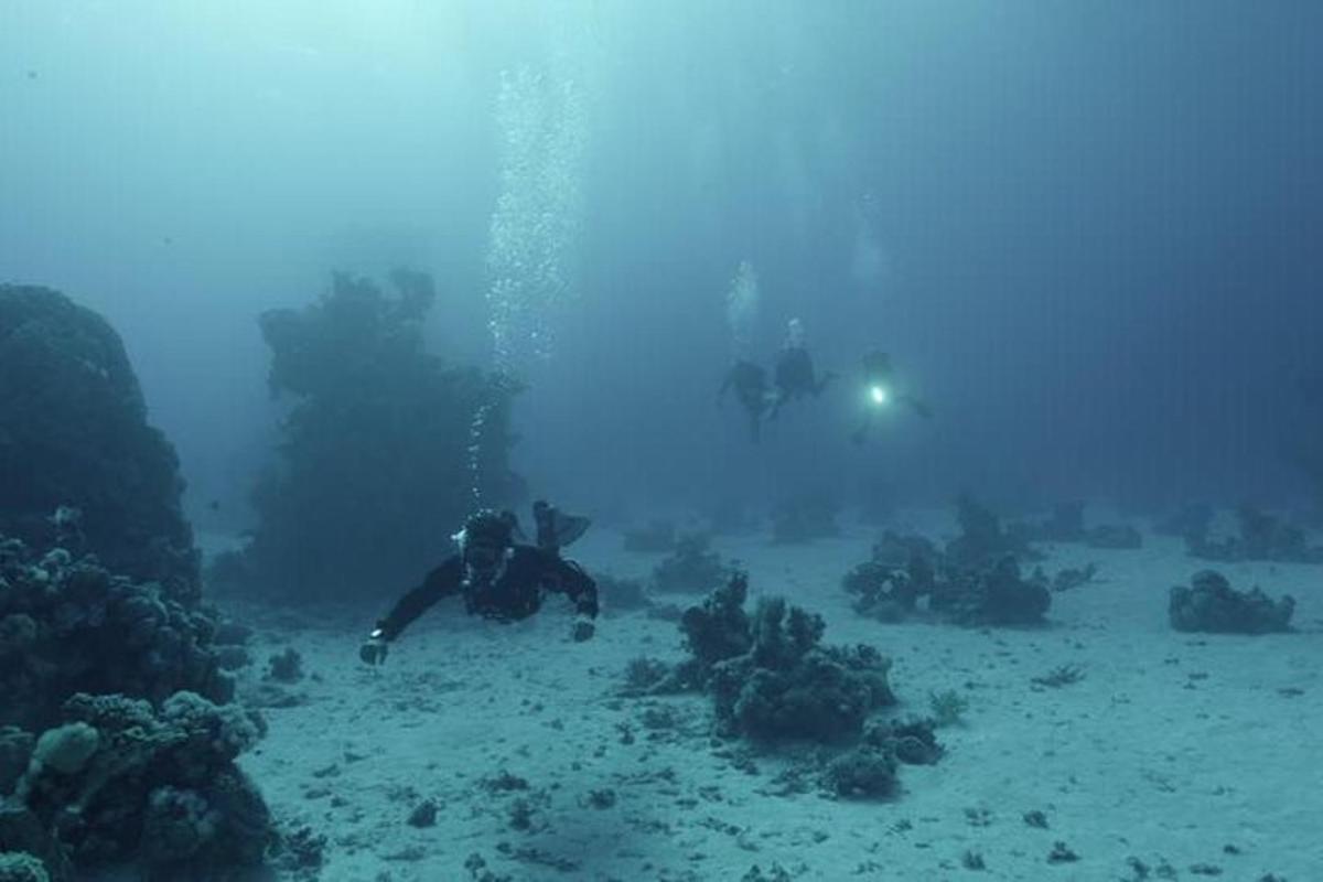 um mergulhador no oceano com um recife