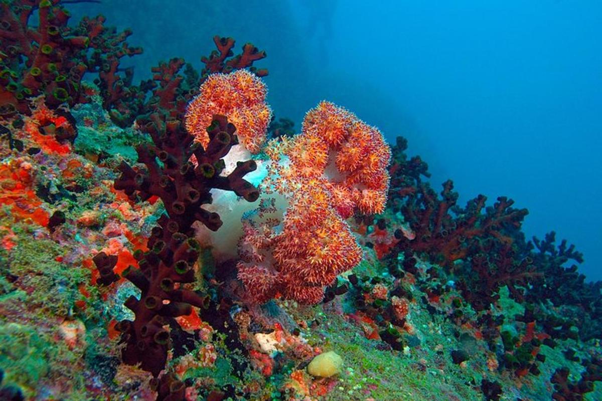 Lankytinos vietos ar pramogos nuotrauka numeris 2