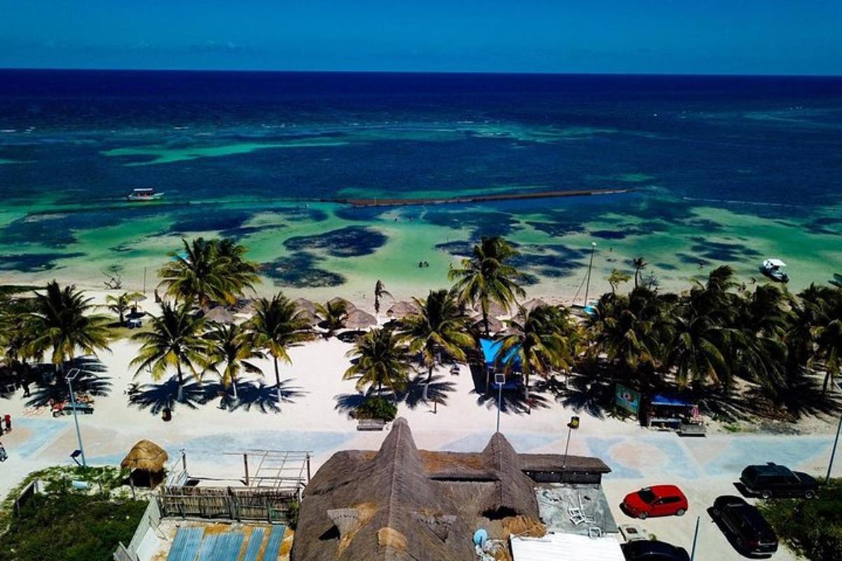 an aerial view of a beach with palm trees and the ocean