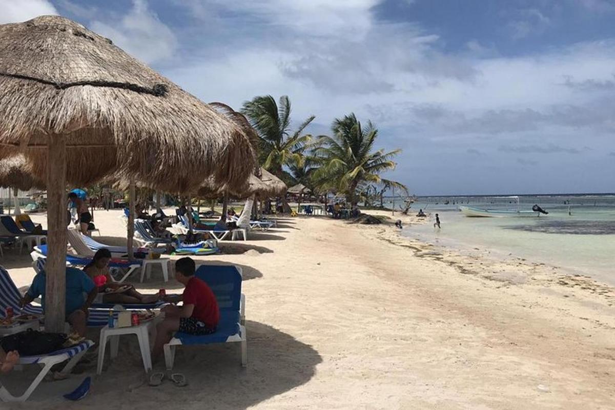 a group of people sitting in chairs under an umbrella on a beach