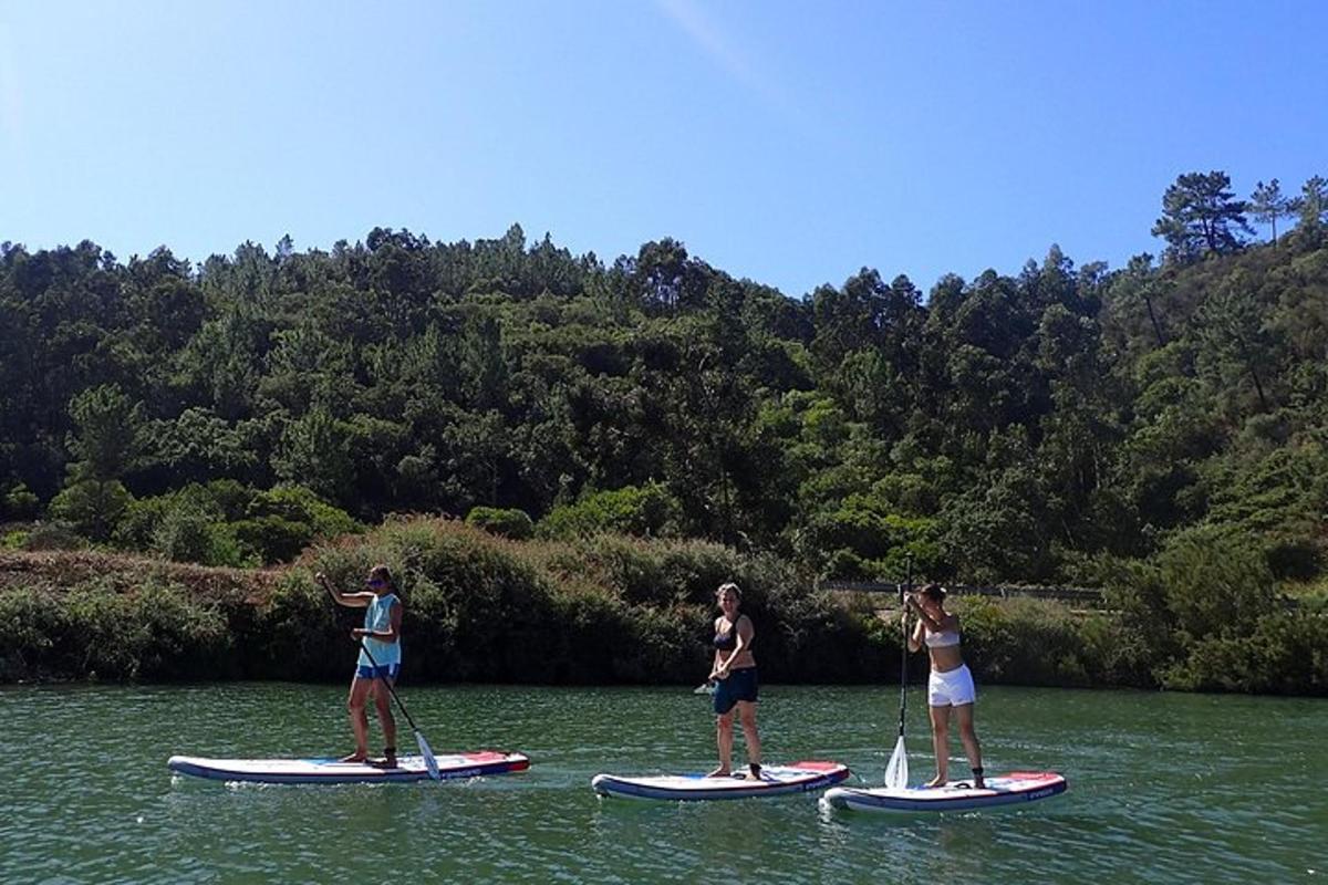tři lidé stojí na paddleboardech ve vodě