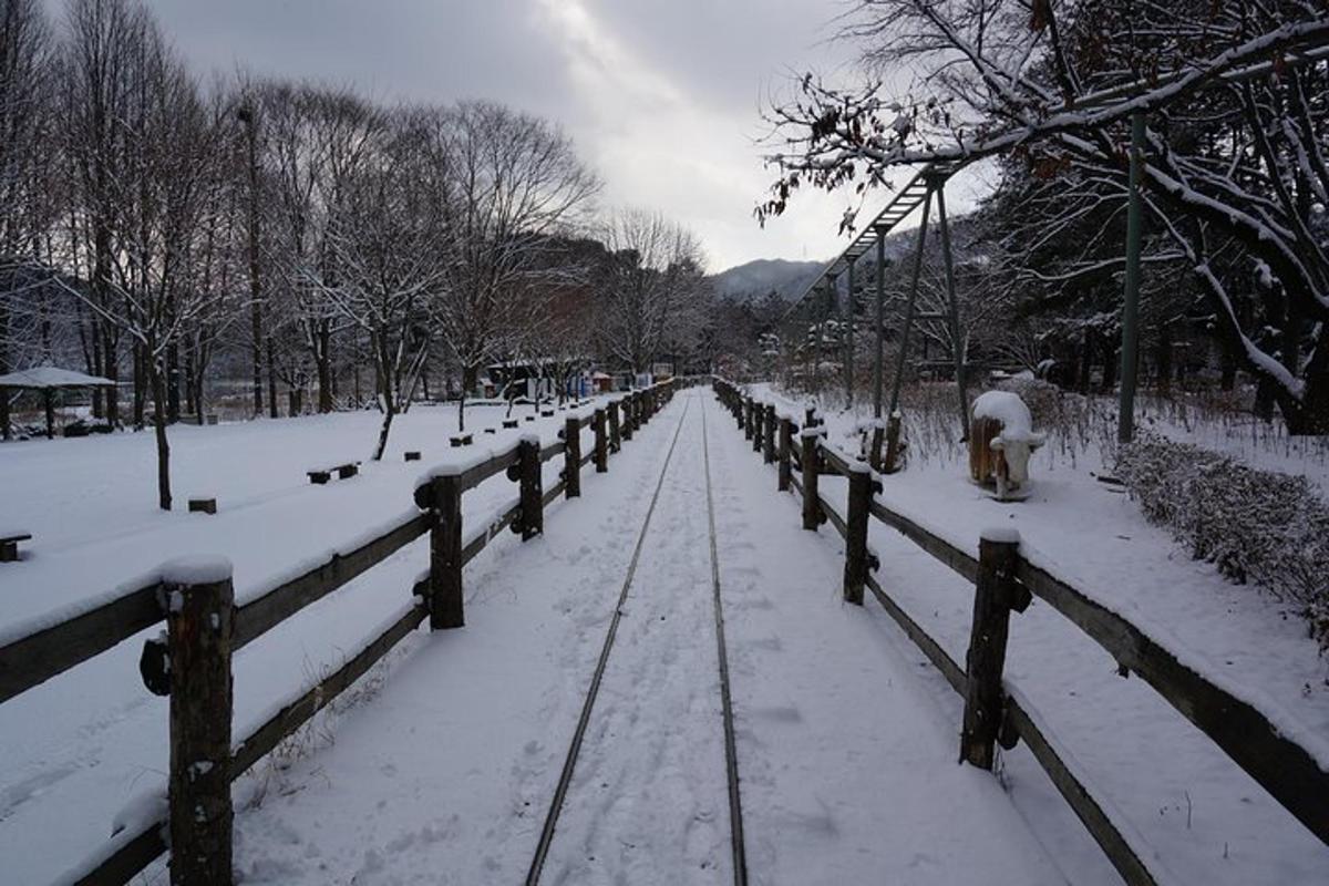 Fotografia 6 a atracției
