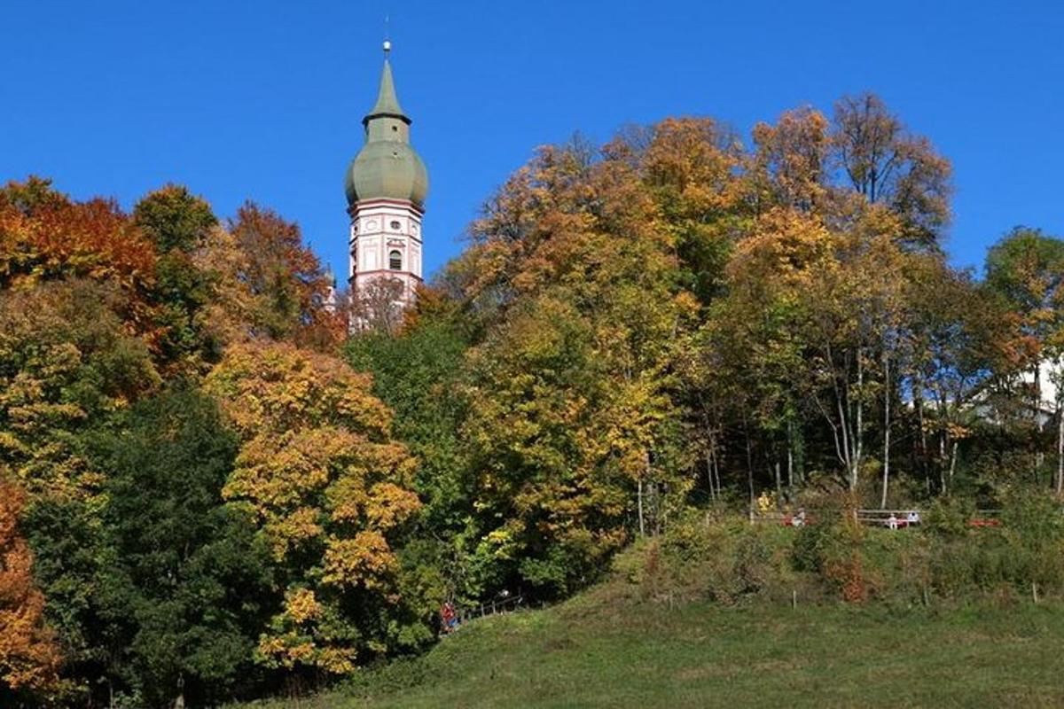 vysoká hodinová věž uprostřed stromů