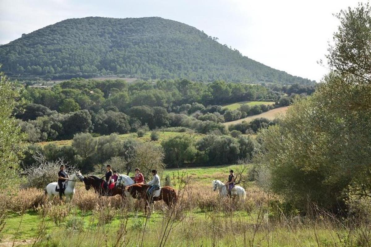 Reiten im Randa-Tal auf Mallorca