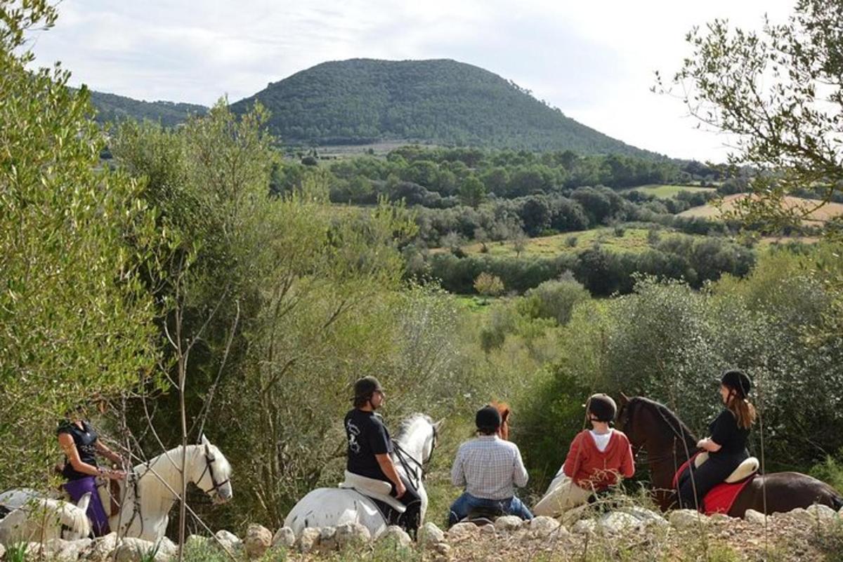 un gruppo di persone a cavallo su una collina